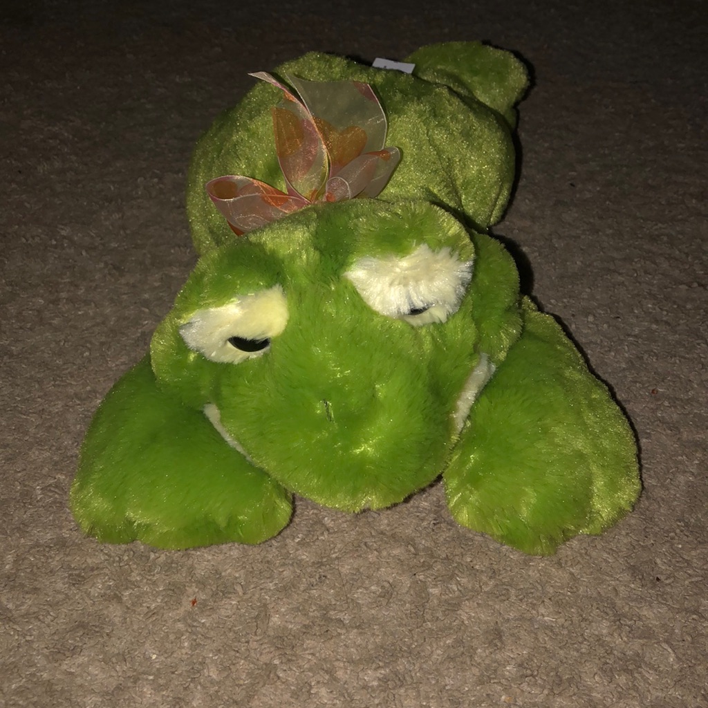 Frog